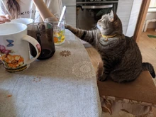 Correa de silicona para Xiaomi Mi Band 3, repuesto de pulsera, novedad