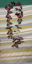 10 Style 1pc Artificial Decoration Vivid Vine Rattan Leaf Vagina Grass Plants Grape Leaves