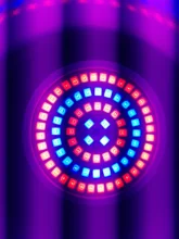 Grow-Lamp Lights-Plants E27-Hydroponic-System Indoor-Lighting Full-Spectrum 220V 80leds