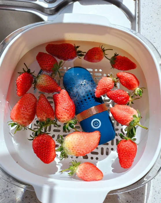 Attachment image review on Food Purifier