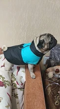 Jacket Puppy-Pug-Vest French-Bulldog Small Dogs Chihuahua Waterproof Winter Large 