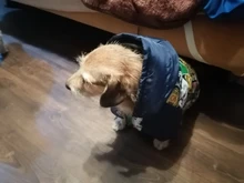 HOOPET Large Coat Down-Jacket Winter New Warm Autumn for Dogs Dog-Prints Overalls Leisure-Style