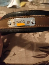 Padded Dog-Collar Pitbull Customized Engraved Dogs Big Pet for Medium Large Perro