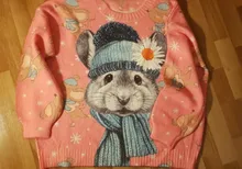 Sweater Pullover Embroidery Animal Knitting Harajuku Fluffy Cartoon Women Kawaii Warm