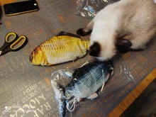 Pet-Cat-Toy Simulation-Fish-Toys Cat-Supplies Catnip Electronic Playing Dog-Cat-Chewing