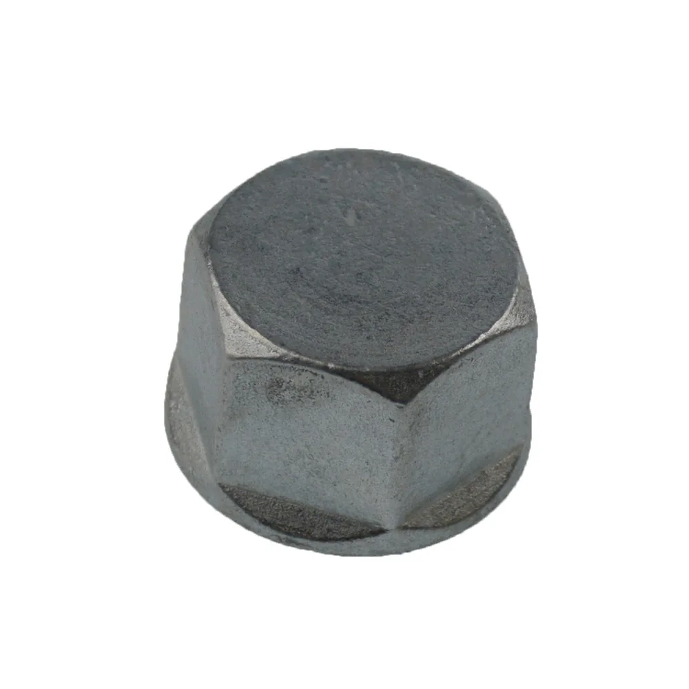 LPG Oven Blind Plug- 1/2
