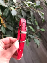 Cat Collar Safety Puppy Collar Chihuahua Solid Dog Collar For Cats Kitten Pet Cat Collars