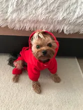 Jumpsuit Clothing Hoodies Jacket Pet-Dog-Coats Small Dogs Sport Apparel Winter Fashion