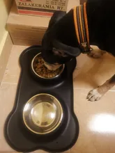 Benepaw-cuenco doble antideslizante para perro, con esterilla de silicona, duradero, de acero inoxidable, sin derrames, recipiente de alimentación para mascotas, Alimentador de agua para beber