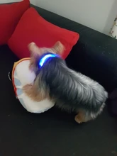Collar con luces LED para perro, collar de luz recargable por USB, ideal para usar de noche al aire libre, accesorio de seguridad para mascota
