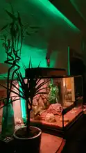 Luz LED RGB para acuario con enchufe europeo, barra de luz sumergible subacuática de colores, resistente al agua, lámpara acuática de 5050 SMD con mando a distancia