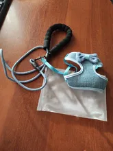 Breakaway Cat Collar Cute Bow Vests Cat Harness and Leash Cat Product Cat Accessories