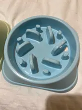 Bowl Food-Plate Slow-Feeder Anti-Choking Pet-Dog Puppy-Cat-Eating Plastic New