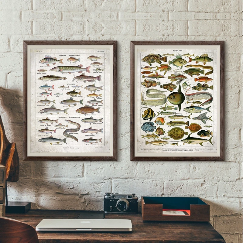 Freshwater Saltwater fish Canvas Prints Home Decor