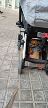 Yoya-cochecito ligero de bebé Original, carrito plegable portátil para viajar, solo 5,8Kg, adecuado para 0 ~ 36 meses