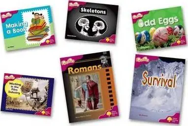 Оксфордское дерево для чтения: уровень 10: светлячки: упаковка 6 книг детская книга