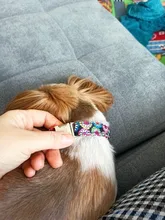 Collar de nailon para perro, personalizado con placa de etiqueta de identificación grabada para mascota, reflectante, perros pequeños, medianos y grandes