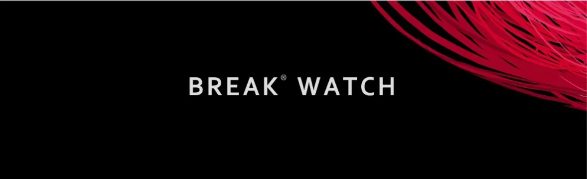 Мужские спортивные наручные часы Break 5601