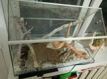 Esterilla de calor para incubadora de reptiles, almohadilla de calefacción para mascotas, fermentación, enchufe europeo de 7W, 14W, 20W, 28W, gran oferta