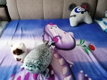 Throw Pillow House Sea-Lion-Toy Plush Soft-Seal Stuffed Warming Novelty 80cm VIP 3D High-Quality