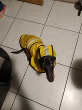 Jumpsuit Hoodies Pet-Coat Rain-Jacket Reflective French-Bulldog-S-2xl Waterproof Medium