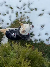 New Arrival Noble Pet Dogs Winter Vest Coat Fur Collar Russia Classic Dogs Clothing Soft