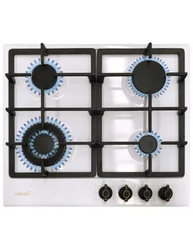 

Plate Tasting Rgi6031wh Dsct Gas 4fuegos White Glazed Grills Foundry 08028006