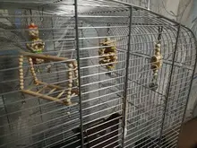 Bird-Toys Accessories Perch-Stand Cockatiel Budgie Parkiet Vogelspeelgoed 7pcs Jouet