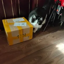 Drum Padded-Drum-Bag Meditation Mallets Steel Yoga 12inch Brand 13-Tone with Pair of