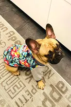 Jacket Costume Coat Bulldog-Clothes Small Dog Pug French Winter Pet-Dog Warm Cute 