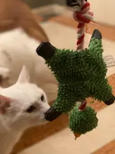 Perro de juguete duradera lindo papá pato haciendo sonido perro de peluche juguetes masticables para cachorros formación juguetes para la dentición para pequeños perros mediano