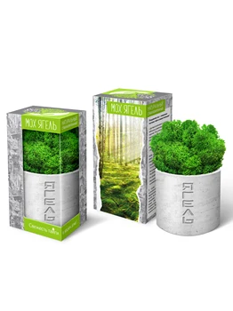

Gift Set artcoolpresent "Moss ягель"