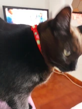 Christma-Collar de gatito reflectante con cierre de seguridad, Collar de hebilla ajustable de alta visibilidad con colgante de campana para mascotas