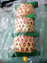Juguete de pájaro para morder de madera, suministros prácticos para loros, jaula de diseño de pájaro, juguete de forrajeo, pájaro de juguete colgante, alimentador de comida, suministros para mascotas