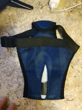 Pañales fisiológicos para mascotas, bragas sanitarias para perros y niñas, pantalones cortos, accesorios para mascotas