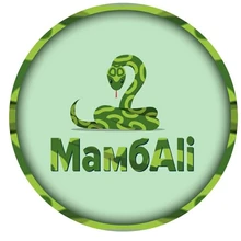 Separador de dedos para juanete de silicona, ajuste de ectropión, Corrector de Hallux Valgus, aparato exterior para el cuidado de los pies, 6 uds.