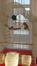 Birds Toy Hammock Swing-Toy Cockatiel Cage Parrot Parakeet Budgie Hangingtoy 1pcs Brinquedo