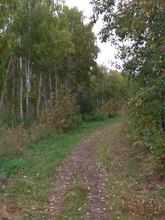 Desk-Lamp Book-Lights Clip-Holder Usb Led Reading Foldable Rechargeable Flexible Usb-Power-Supply