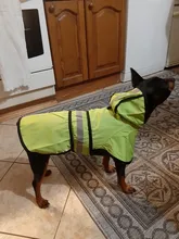 Jumpsuit Hoodies Pet-Coat Rain-Jacket Reflective French-Bulldog-S-2xl Waterproof Medium