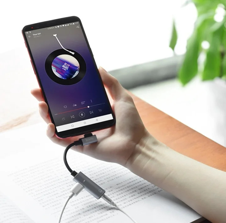 Переходник Hoco LS19 для Type-C на наушники jack 3.5 и USB Type-C 1.5A(Серебро