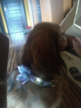 Dog-Accessories Collars Engraved Pet-Puppy Printed Custom Personalized Fashion Nylon