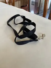 Correa de nailon para perros y gatos pequeños, Collar de gatito colorido de 1,5x120cm, correa de plomo para correr, entrenamiento y caminar