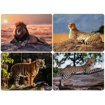 

Stands on the Cork safari. Large cats 4 PCs 29x22 cm