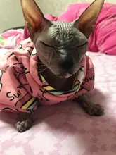 Cartoon Cat Hoodie Sweater Autumn Winter Pet Cat Clothes for Cats Katten Kedi Pullovers