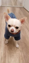 Sweater Coat Pets Chihuahua Puppy Gentle Para Medium Dog Knitted Small for Warm Ropa