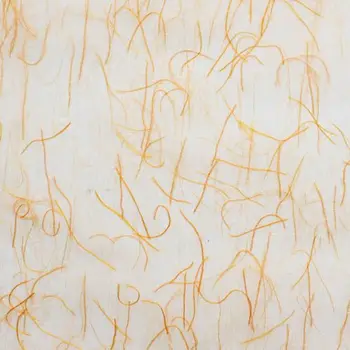 

Silk paper Astra creative, roll 68 cm x 4,57 m (m18-20 Orange)
