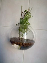 Transparent Glass Vase Flower-Pot Potted-Plant Wall-Hanging Terrarium-Fish-Tanks Hydroponic