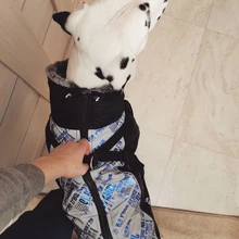 Pet-Dog-Clothes Clothing Walking-Harness Dogs Outdoor Waterproof Large Winter Medium