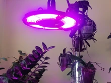 Indoor E27 Led 400W Grow Light Panel Full Spectrum Phyto Lamp For Flowers E26 Lamp For