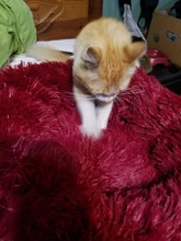 Camas redondas de felpa para gatos, cama de perro suave y larga para canasta para perros, cojín, cama para gatos, alfombrilla para animales, sofá para dormir, productos para mascotas